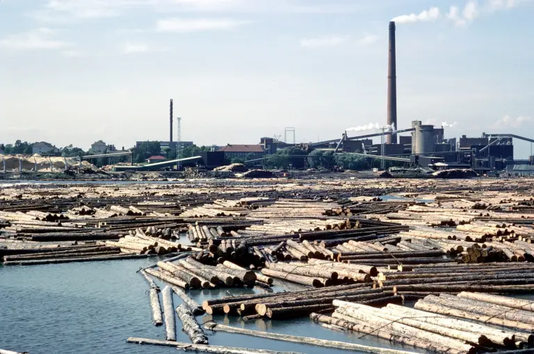 L' usine de transformation de bois Kotkamills Oy à Kotka